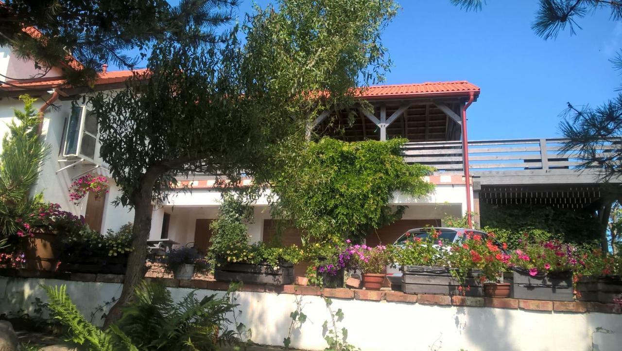 Kamien Baltyku Apartment Debina  Exterior photo